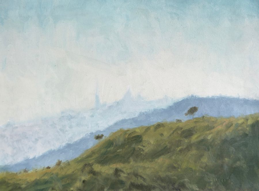 Ladera verde de Collserola con bruma y el Tibidabo a lo lejos