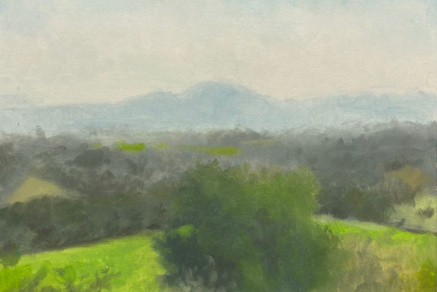Paisaje abierto con montañas lejanas y vegetación verde