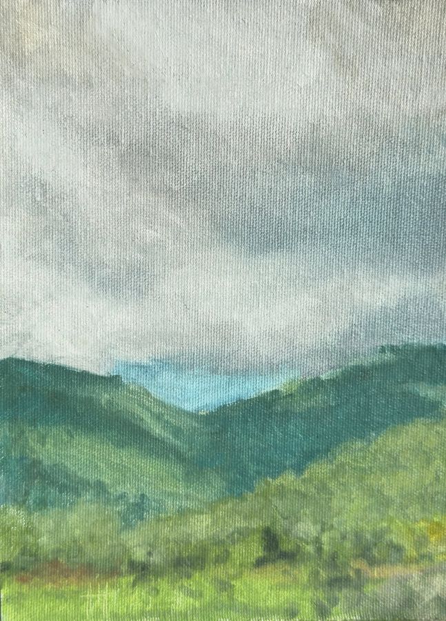 Valle verde bajo un cielo nublado en el Montseny